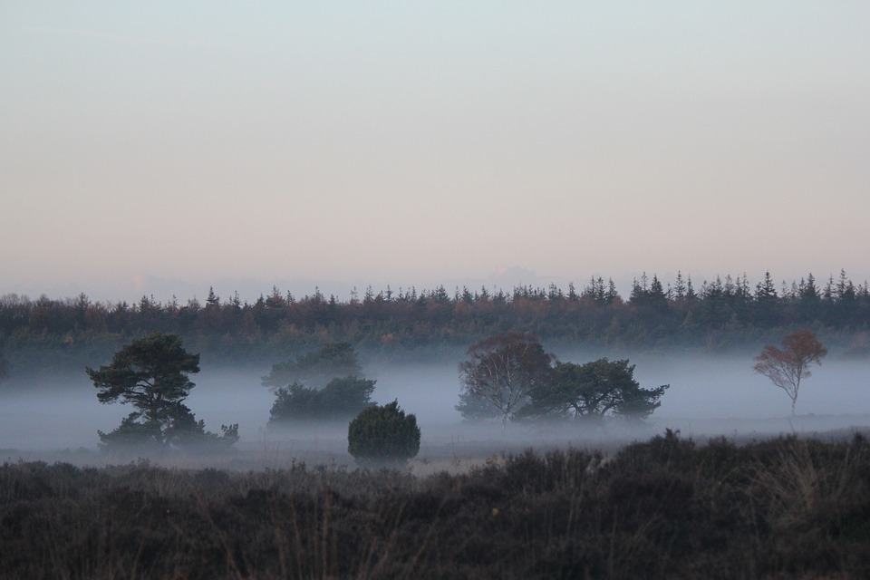 veluwe