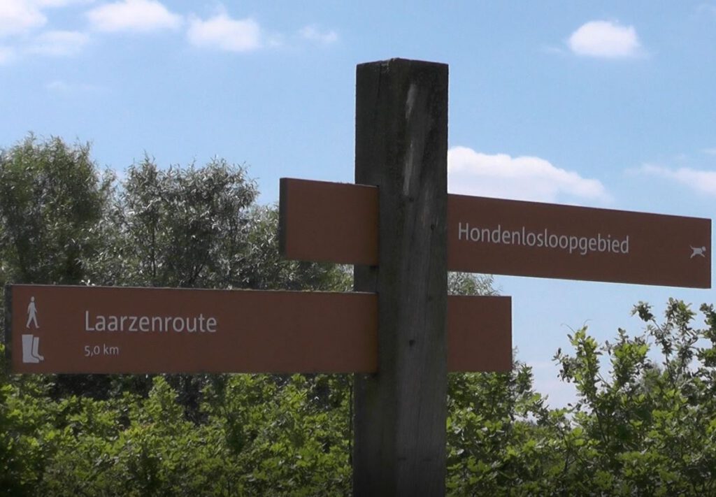 Bentwoud - najmłodszy rezerwat przyrody w Holandii 14 b8