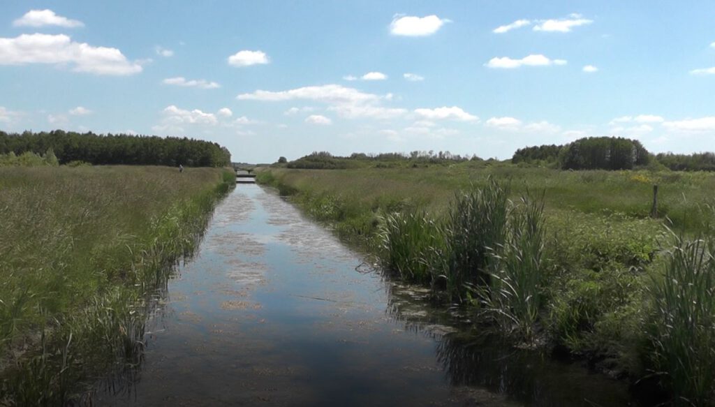 Bentwoud - najmłodszy rezerwat przyrody w Holandii 13 kanal