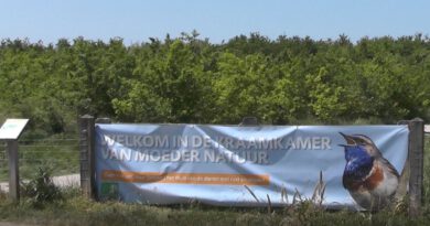 Holandia Bentwoud przyroda natura rezerwat przyrody