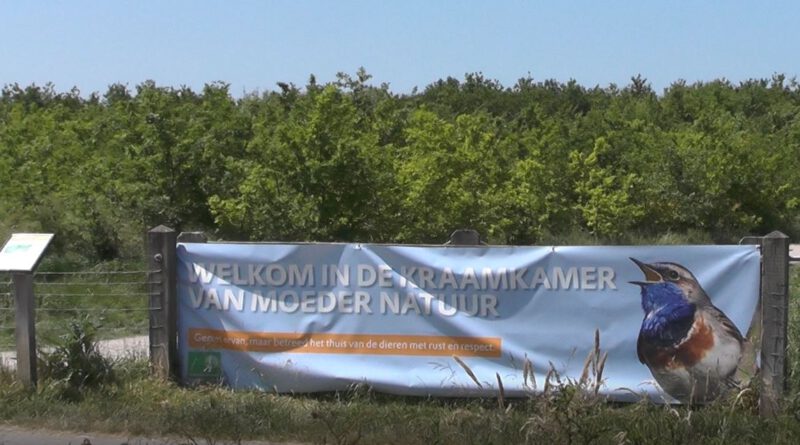 Holandia Bentwoud przyroda natura rezerwat przyrody