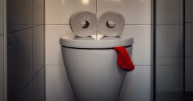 Holandia ciekawostki zdrowie woda 2021