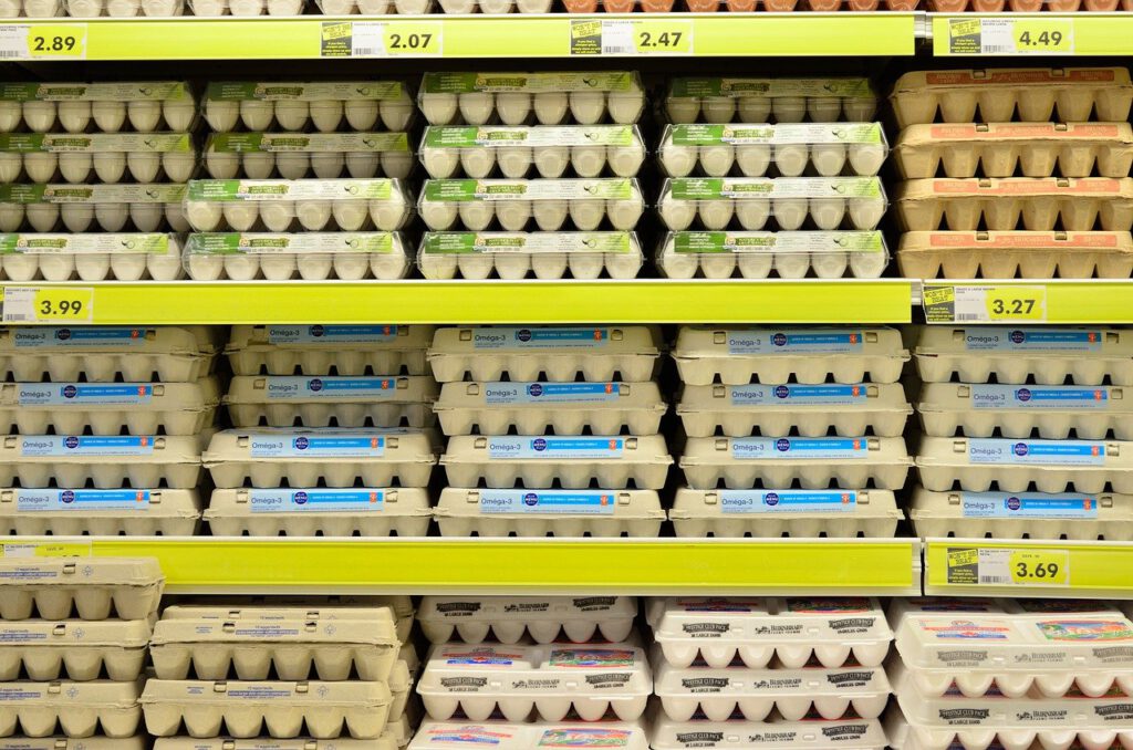 CBS: Życie w Holandii staje się coraz droższe! 9 egg 1316407 1280