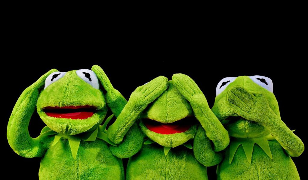 Ankieta: Połowa Holendrów zapłaci więcej za... lepsze produkty? 9 kermit 2687975 1280