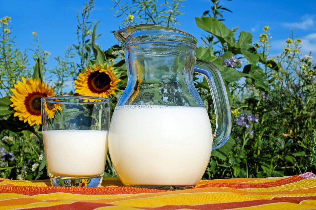 Mleko konopne - najbardziej ekologiczna nowość na rynku 'mleczarskim' 8 milk 2474993 1280