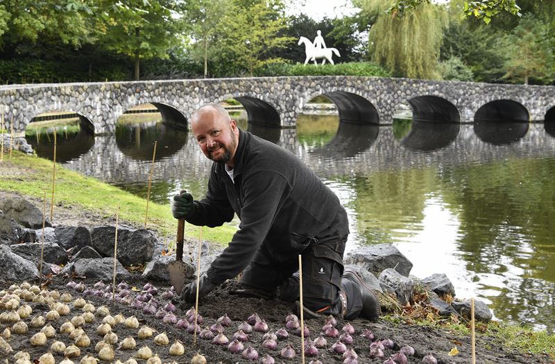 Keukenhof `2022: Cokolwiek się nie wydarzy, do 45 000 turystów dziennie! 9