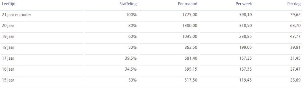 Znamy już minimalne zarobki obowiązujące w NL od 1 stycznia 2022 roku! 10 loon1