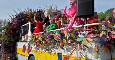 Holandia parada kwiatowa bloemencorso tulipany cebulki