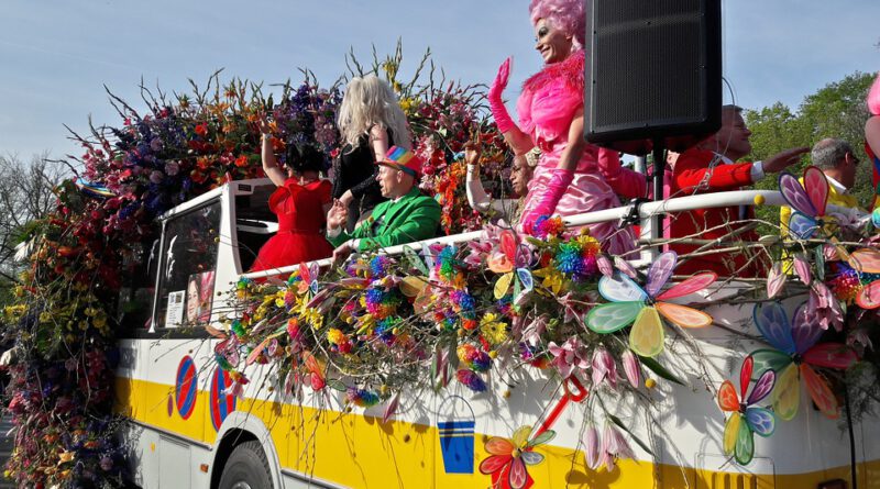 Holandia parada kwiatowa bloemencorso tulipany cebulki