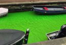 Holandia Amsterdam kanały kolor wody