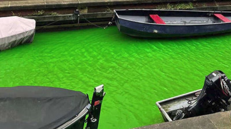 Holandia Amsterdam kanały kolor wody
