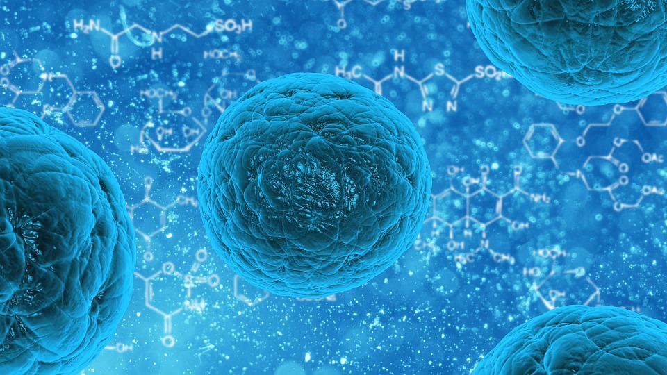 Ich przepowiednie sprawdziły się w ponad 80 procentach! Co nas czeka w tym roku? 11 bacteria 163711 960 720