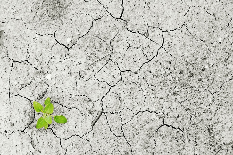 Ich przepowiednie sprawdziły się w ponad 80 procentach! Co nas czeka w tym roku? 12 climate change 1325882 960 720