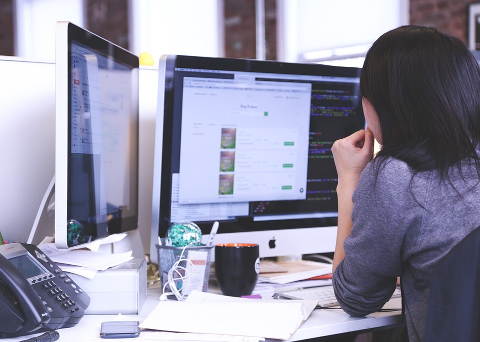 Praca w Holandii: Niesłychane perypetie Polki, po której słuch zaginął (2) 10 startup 849804 960 720