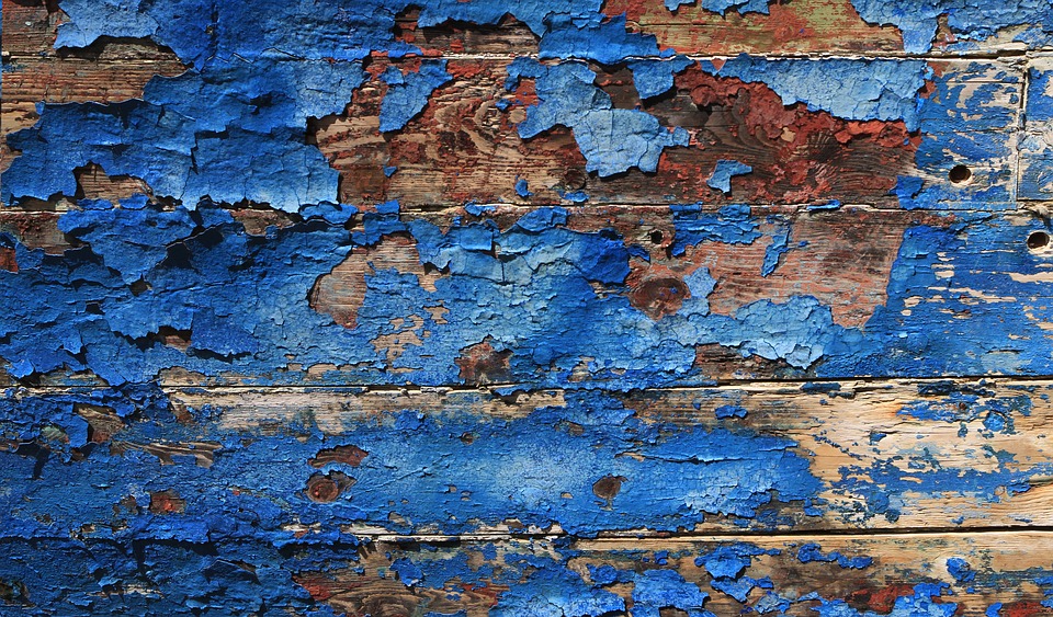Praca w Holandii: Niesłychane perypetie Polki, po której słuch zaginął (1) 9 texture 2613518 960 720