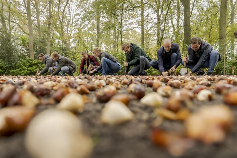 Keukenhof `2022 już otwarty! 9