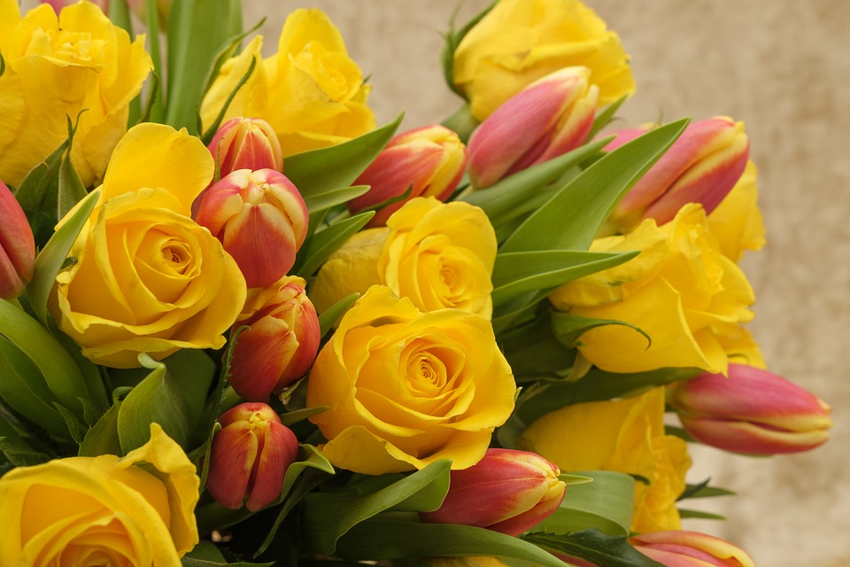 Walentynki `2022 w Holandii: Romantyczne bukiety są ciężkie od pestycydów! 8 bouquet 3163294 960 720