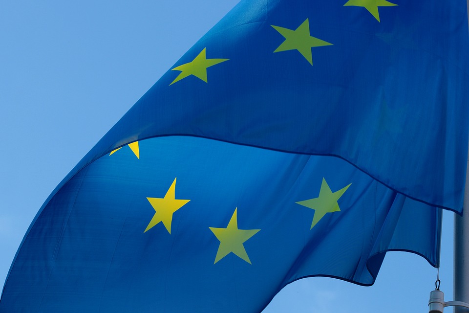 Maastricht: Obywatele €uropy rozmawiają o przyszłości wspólnoty 12 flag 2608475 960 720
