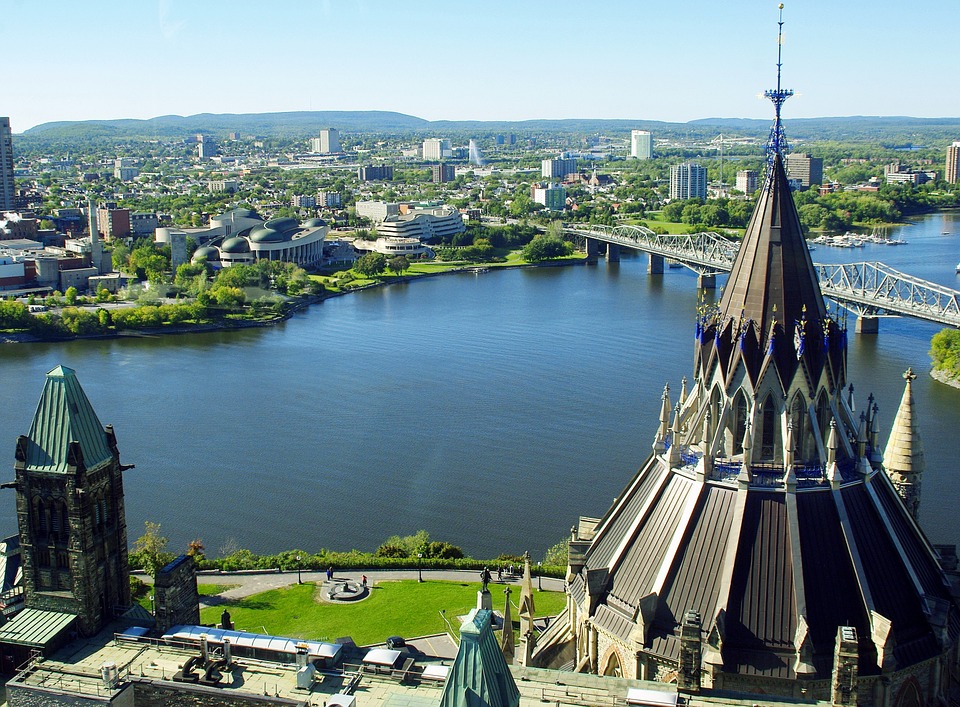Koronawirus w NL: Prawie wszyscy dawcy krwi w mają przeciwciała! 9 ottawa