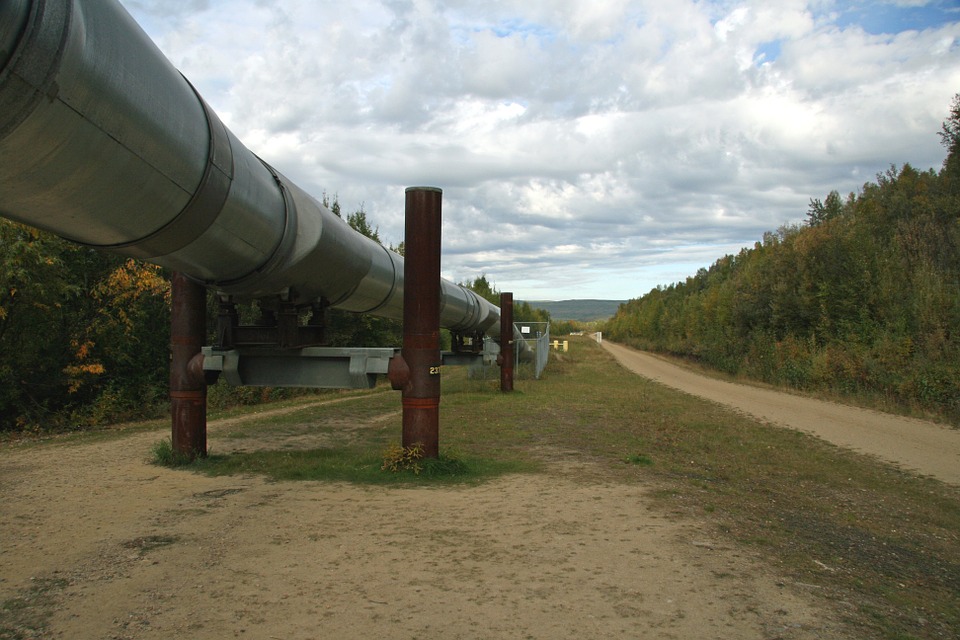 Holandia: Rząd rozpoczyna kampanię wzywającą do mniejszego zużycia gazu 8 alaska 67304 960 720