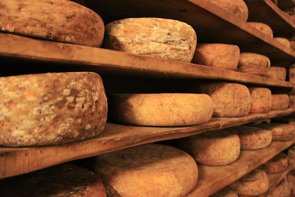 Holandia: Zorganizowany gang ukradł z farmy mlecznej... 1600 kilogramów sera 3 cheese 407121 960 720