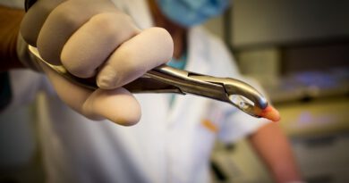 Holandia dentysta 2022