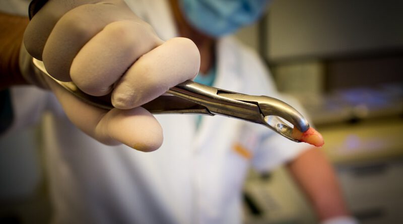 Holandia dentysta 2022