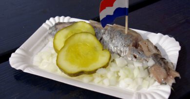 Holandia hollandse nieuwe 2022