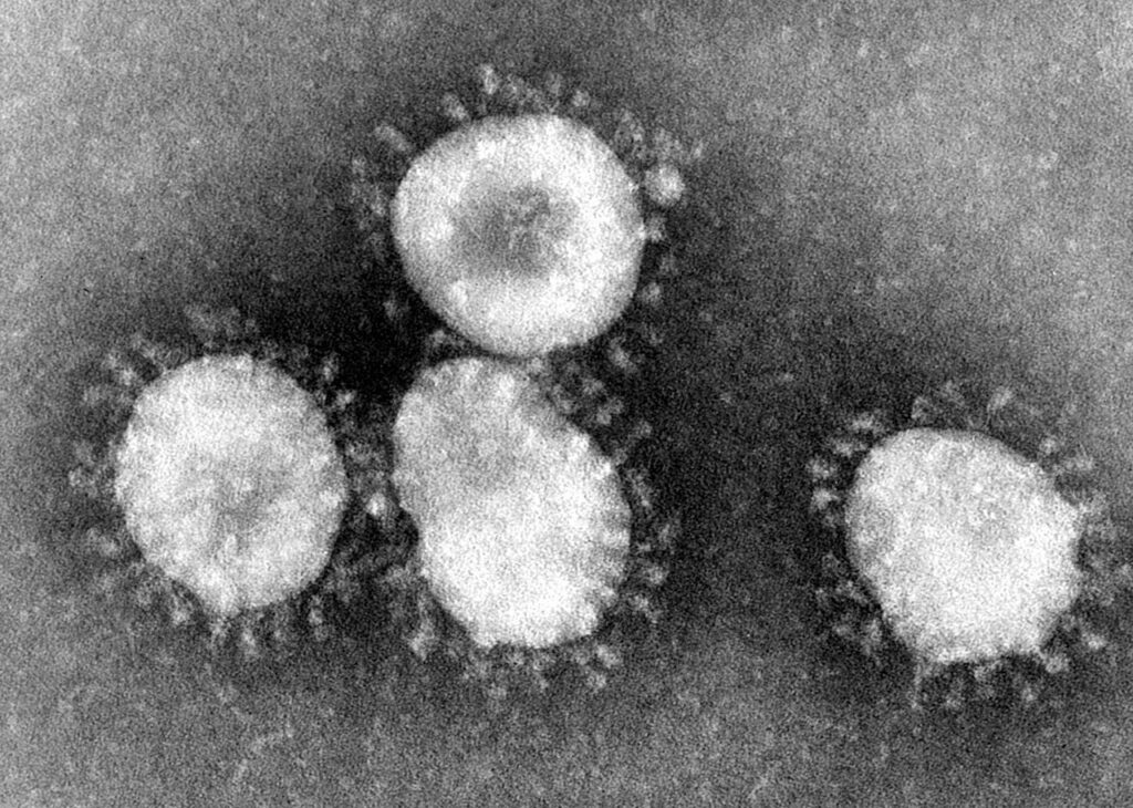 Koronawirus (znów) rozprzestrzenia się szybciej: Wskaźnik R wzrósł do 1,21! 9 Coronaviruses 004 lores