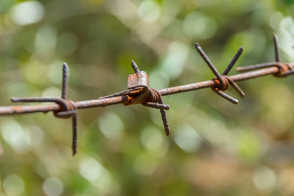 Czy (albo kiedy) Holandia 'zamknie drzwi' przed uchodźcami z całego Świata? 8 barbed wire 928874 960 720