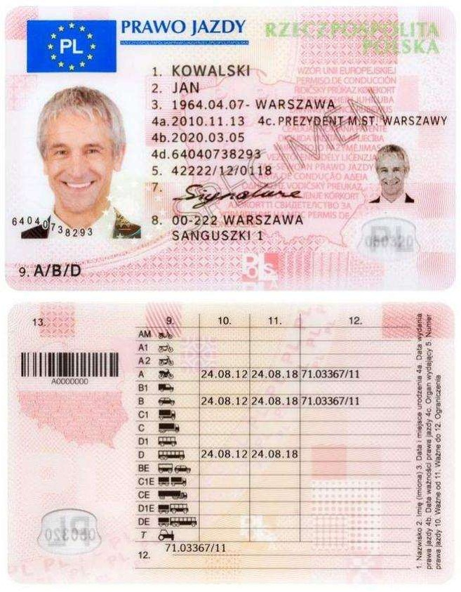 Kończymy dyskusję na temat praca w Holandii, a polskie prawo jazdy 8 Projekt nowego prawa jazdy