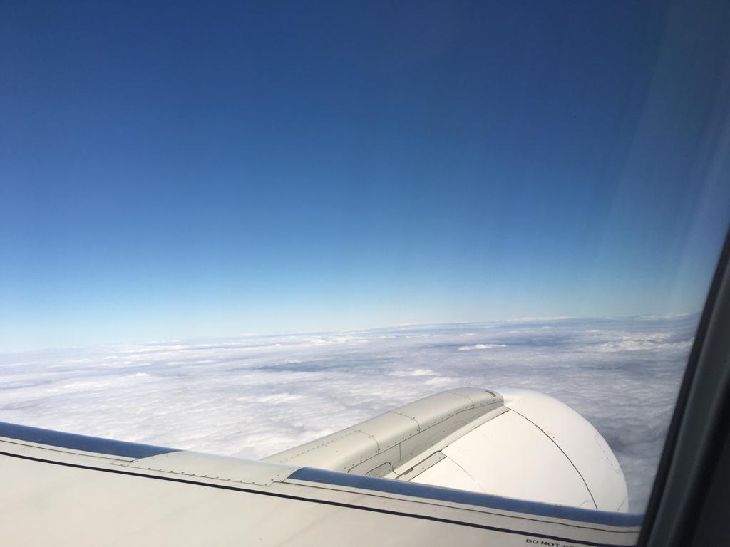 Tłumy nie maleją: Sprawdziliśmy, jak wygląda sytuacja na lotnisku Schiphol pod Amsterdamem 5 WhatsApp Image 2022 07 07 at 20.42.12 1