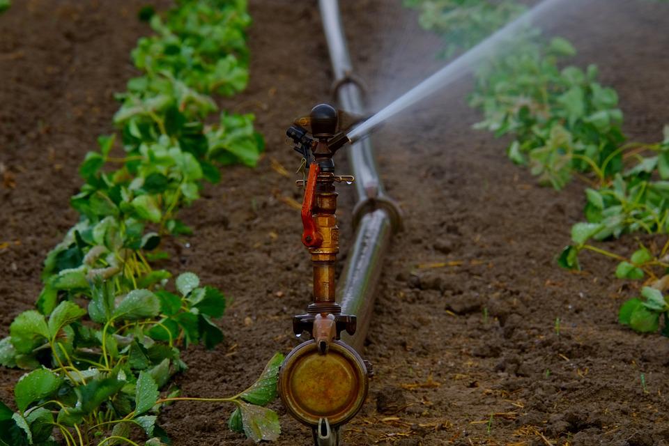 Holandia: Nie uwierzysz, ile tutaj kosztuje... susza! 10 water sprinklers 880970 960 720