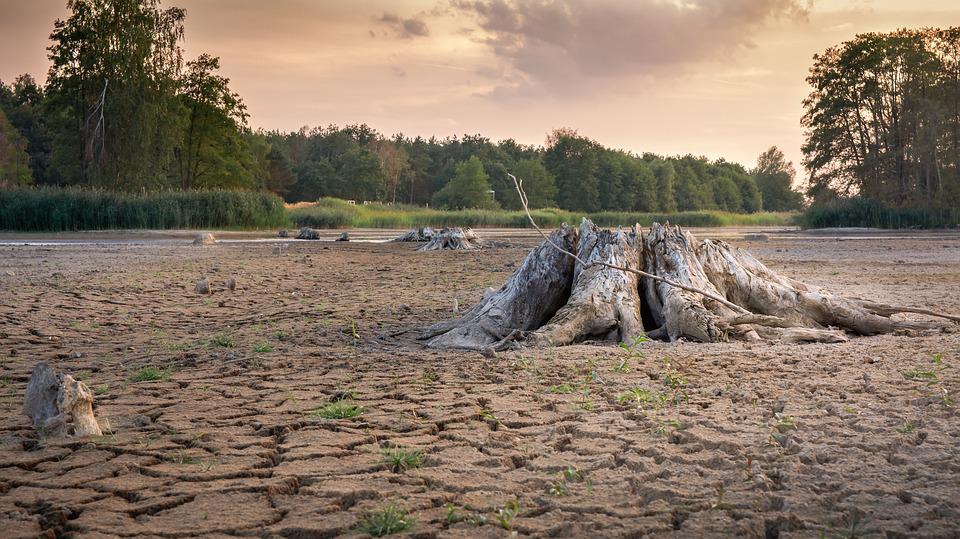 Woda na kartki? Zastanów się dwa razy, zanim umyjesz auto! 4 drought 3618657 960 720