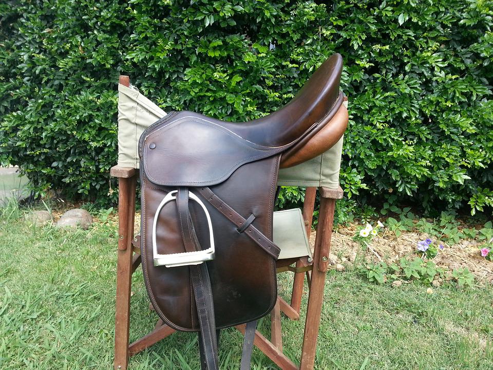 Szokujące: Dziesiątki końskich siodeł skradzionych w Holandii odnaleziono w... Polsce! 9 horse 490704 960 720