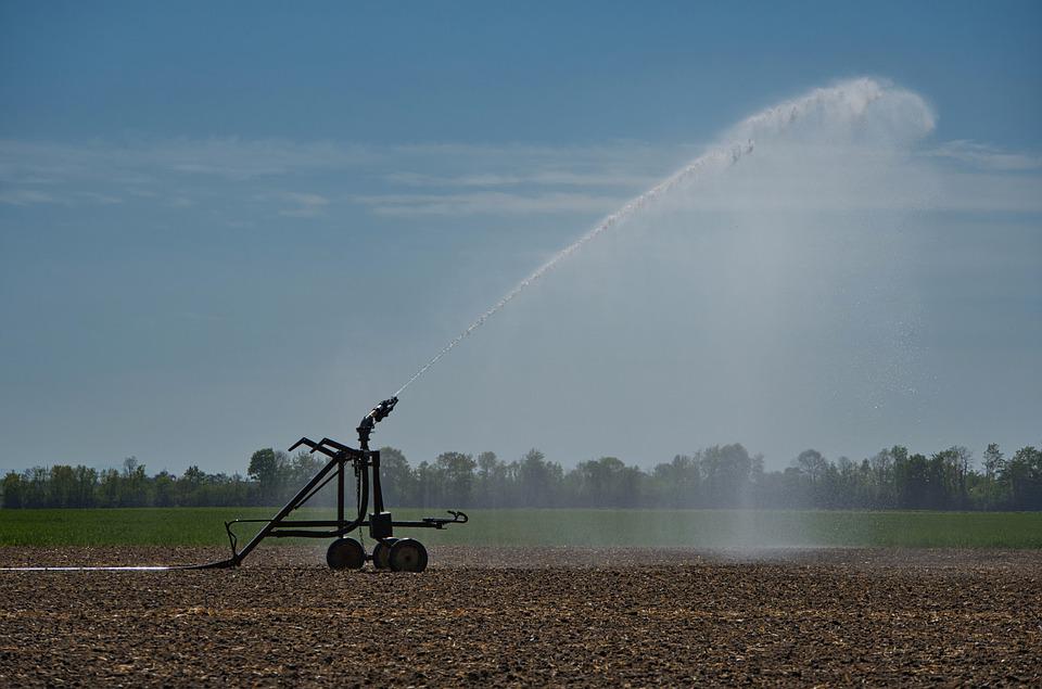 Holandia: Kiedy zrobi się chłodniej? 8 irrigation 5064925 960 720