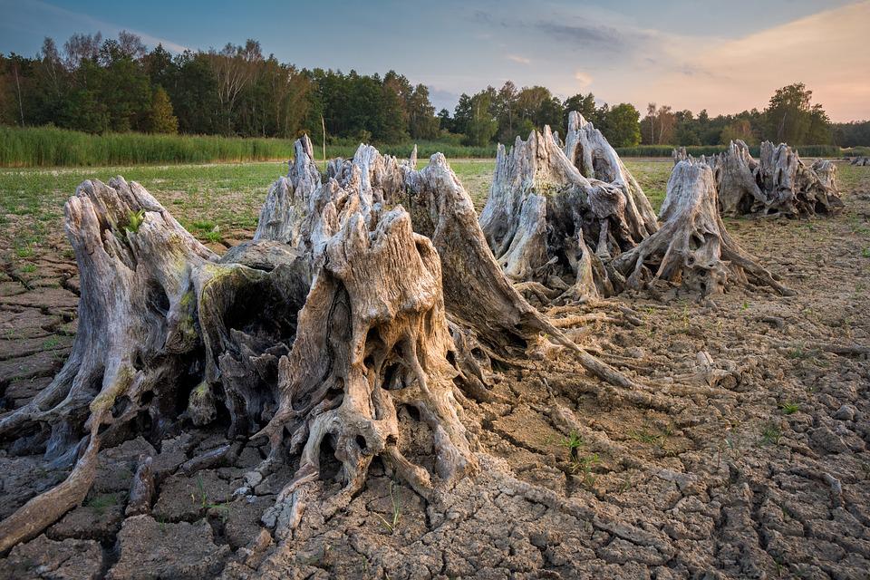Holandia: Kiedy zrobi się chłodniej? 10 root 3618650 960 720