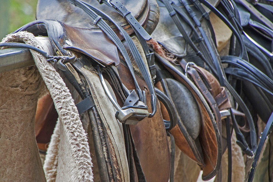 Szokujące: Dziesiątki końskich siodeł skradzionych w Holandii odnaleziono w... Polsce! 10 saddle 1006445 960 720