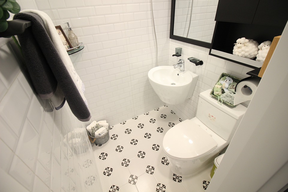 Skandaliczne marnotrawstwo: Aż 98% WODY PITNEJ codziennie trafia do ścieków! 8 toilet 4786777 960 720