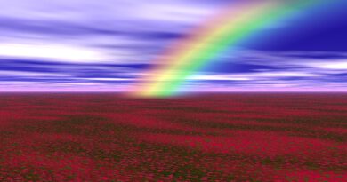 Holandia LGBTI+ 2022 2026 dotacja