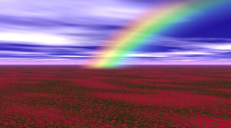 Holandia LGBTI+ 2022 2026 dotacja