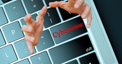 cyber crime Holandia