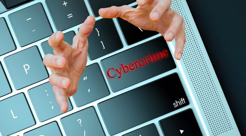 cyber crime Holandia
