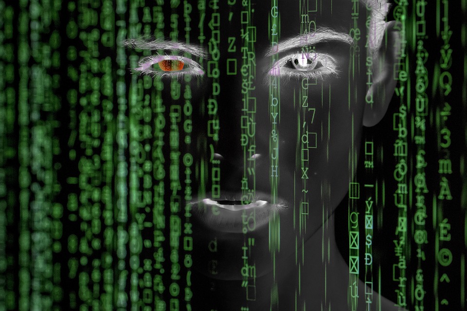 Jeszcze gorąca ciekawostka: Naiwny jak... Holender? 10 hacker 4949897 960 720