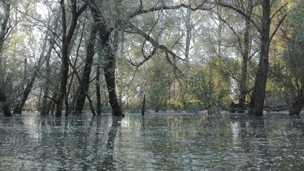 Czy to naprawdę Holandia? (1/5) 10 Brabantse Biesbosch2