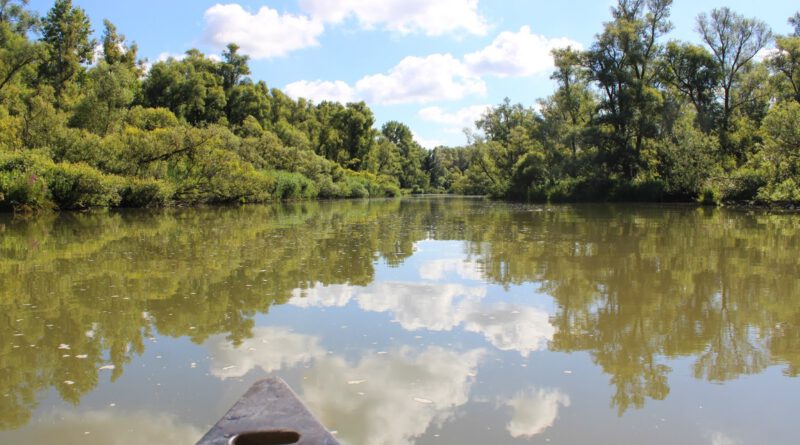 Holandia Biesbosch