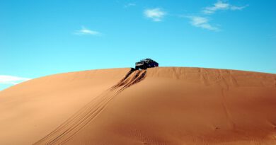Holandia Sahara
