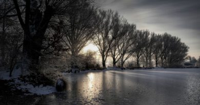 Holandia zima śnieg mróz