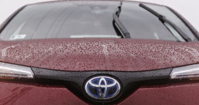 Holandia Toyota