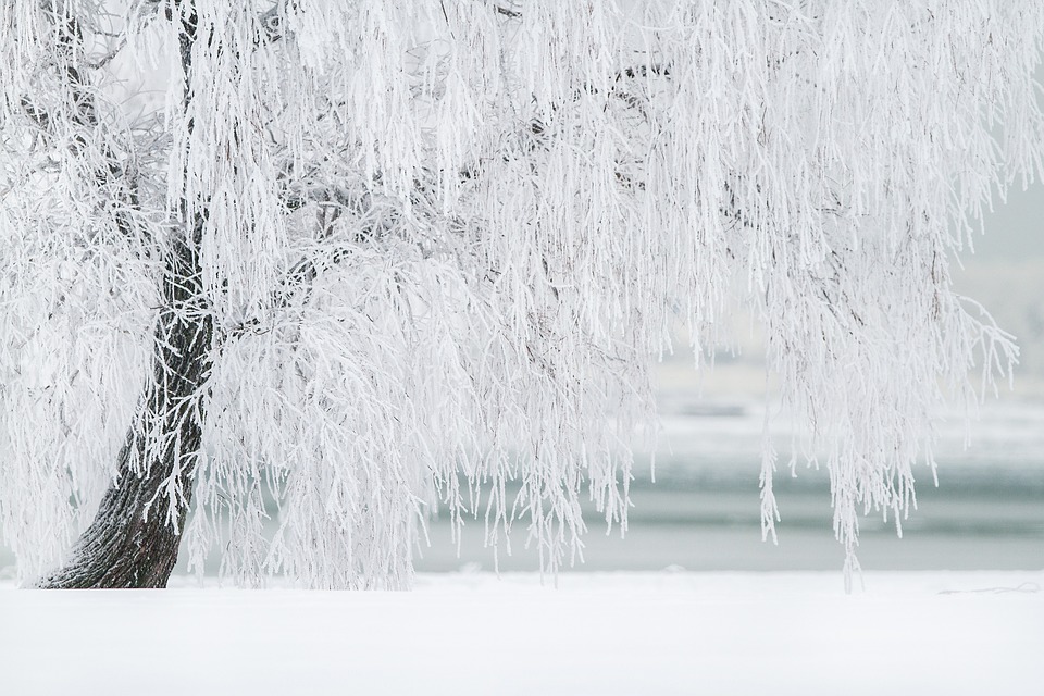 winter 1367153 960 720